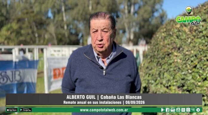 Entrevista a Alberto Guil