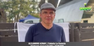 Entrevista a Alejandro Aznar