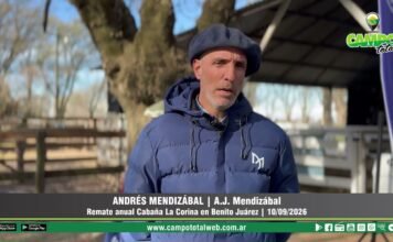 Entrevista a Andrés Mendizábal