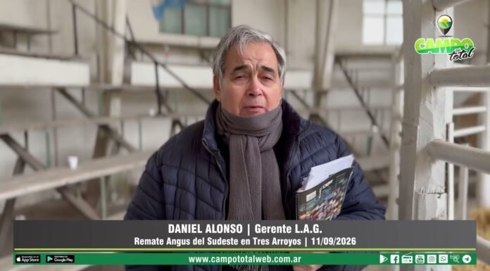 Entrevista a Daniel Alonso