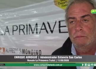 Entrevista a Enrique Adrogué