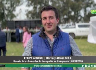 Entrevista a Felipe Alonso
