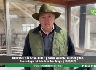 Entrevista a Gervasio Sáenz Valiente