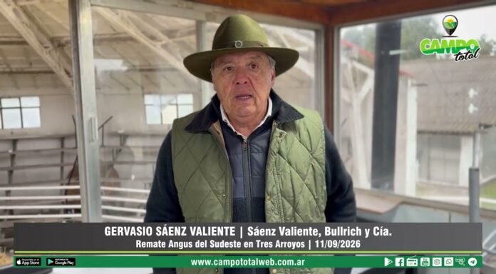 Entrevista a Gervasio Sáenz Valiente