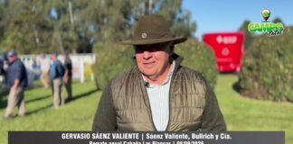 Entrevista a Gervasio Sáenz Valiente