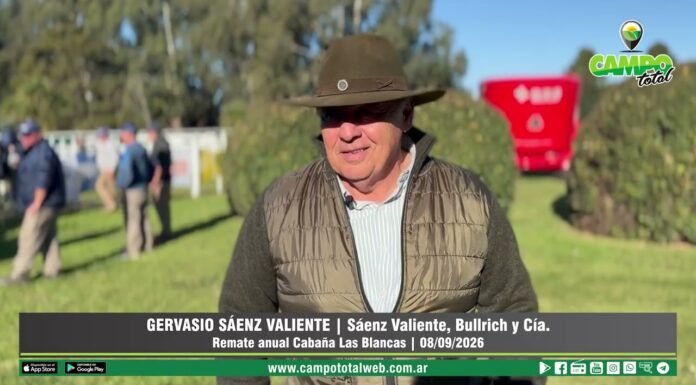 Entrevista a Gervasio Sáenz Valiente