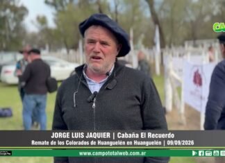 Entrevista a Jorge Luis Jaquier