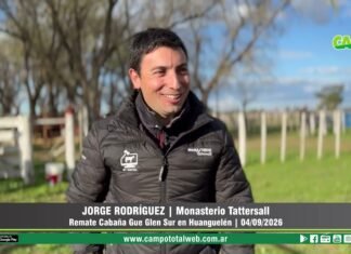 Entrevista a Jorge Rodríguez