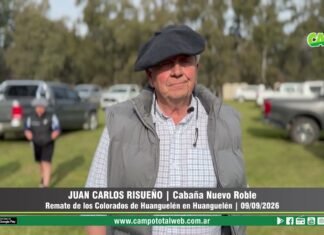 Entrevista a Juan Carlos Risueño