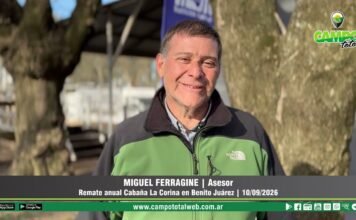 Entrevista a Miguel Ferragine
