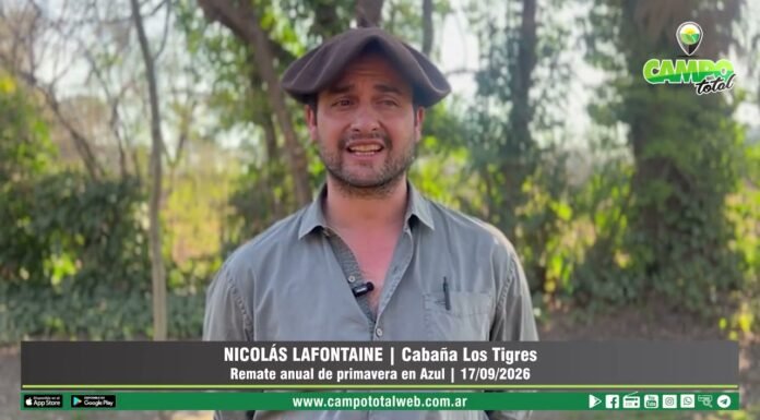 Entrevista a Nicolás Lafontaine