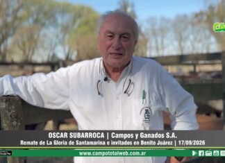 Entrevista a Oscar Subarroca