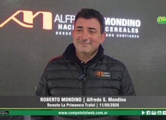 Entrevista a Roberto Mondino