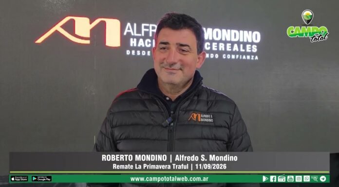Entrevista a Roberto Mondino