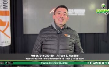 Entrevista a Roberto Mondino