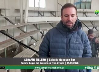 Entrevista a Serafín Sillero