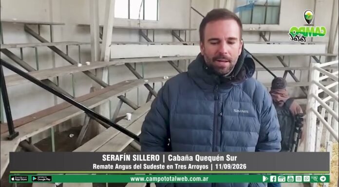 Entrevista a Serafín Sillero