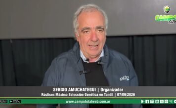 Entrevista a Sergio Amuchategui