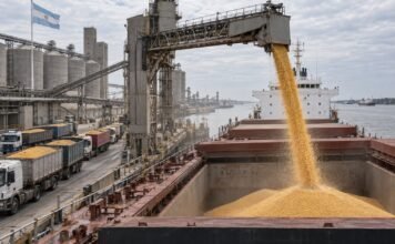 El sector agroindustrial consolida un crecimiento interanual