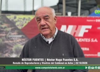 Entrevista a Néstor Fuentes